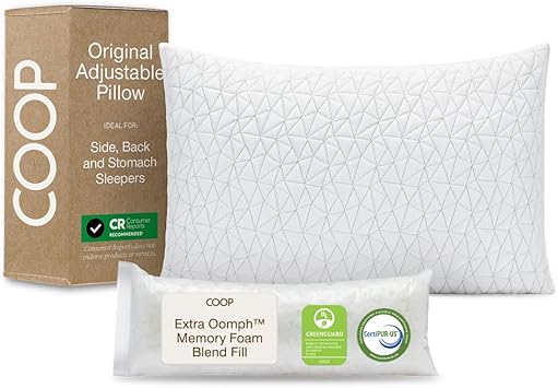 Coop Home Goods memory foam pillow