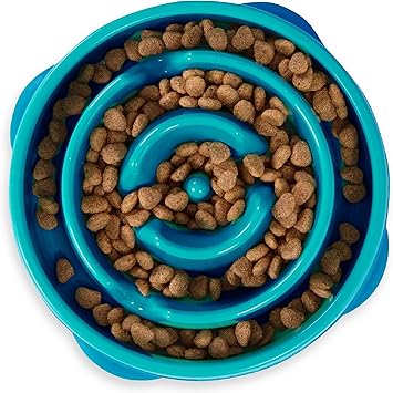Outward Hound slow feeder bowl