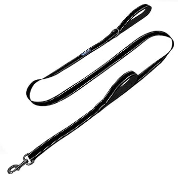 Max and Neo reflective dog leash