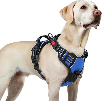 rabbitgoo dog harness